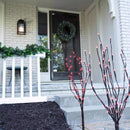 Celebrations Platinum Brilliant LED Prelit RGBW Entryway Kit Wreath and Garland Set