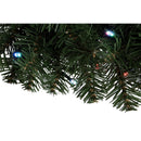 Celebrations 24 in. D LED Prelit RGBW Brilliant Wreath