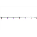 Celebrations Platinum LED C9 RGBW 25 ct String Christmas Lights 25 ft.
