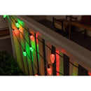 Celebrations Platinum LED C9 RGBW 25 ct String Christmas Lights 25 ft.