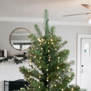 Celebrations Platinum LED Big Seed Cluster Warm White 1080 ct String Christmas Lights 10 ft.