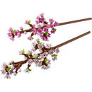LEGO Botanicals Cherry Blossoms Building Set Multicolored 430 pc