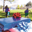 Hennessy Gift Wrap Repeat-A-Bow Blue Gift Bows, Pack of 4
