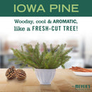Mrs. Meyer's Clean Day Iowa Pine Scent Hand Cleaner Refill 33 fl. oz.