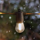 Feit LED Firefly Rope String Light Set Clear 24 ft. 12 lights