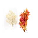 Second Nature Woodsy Oak Leaves Fall Decor, Pack of 24