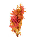 Second Nature Woodsy Oak Leaves Fall Decor, Pack of 24