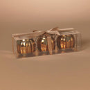 Gerson 3 in. Harvest Lanterns Fall Decor, Pack of 8