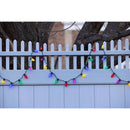 Celebrations Classic LED C9 Multicolored 25 ct String Christmas Lights 16 ft.