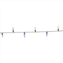 Celebrations Classic LED C6 Multicolored/Warm White 50 ct String Christmas Lights 16 ft.