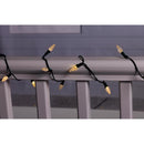 Celebrations Classic LED C6 Multicolored/Warm White 50 ct String Christmas Lights 16 ft.
