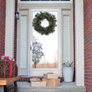 Celebrations 24 in. D LED Prelit Multicolored/Warm White Mixed Pine Rechargeable Wreath