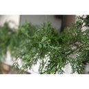 Celebrations 9 ft. L Unlit Everyday Garland