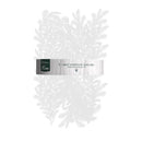 Celebrations 9 ft. L Unlit Everyday Garland
