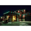 Holiday Bright Lights LED PS C9 Green 25 ct Christmas Light Bulbs