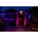Holiday Bright Lights LED PS C9 Purple 25 ct Christmas Light Bulbs