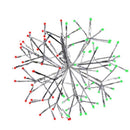 Celebrations LED Green/Red Shimmering Sphere 16 in. Hanging Decor
