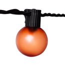 Celebrations Orange 25 ct LED String Lights
