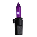 Celebrations Purple 100 ct LED String Lights