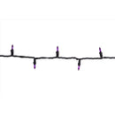 Celebrations Purple 100 ct LED String Lights