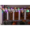 Celebrations Multicolored 100 ct LED String Lights
