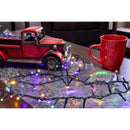 Celebrations LED Rice Multicolored/Warm White 1000 ct String Christmas Lights