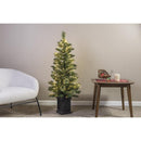 Celebrations LED Micro Dot/Fairy Warm White 304 ct Christmas Lights