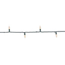 Celebrations Platinum LED C6 Warm White 50 ct String Christmas Lights