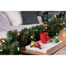 Celebrations Platinum LED C6 Red/Green/Pure White 50 ct String Christmas Lights