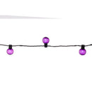 Celebrations Purple 25 ct LED Smooth Frosted Halloween Lights