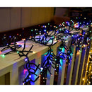 Celebrations LED Rice Cluster Multicolored/Warm White 200 ct Christmas Lights 7 ft.
