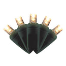 Celebrations LED Grand Mini Warm White 50 ct String Christmas Lights 25 ft.