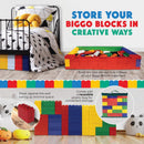 Biggo Learner Set Jumbo Building Blocks Assorted 50 pc