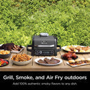 Woodfire Outdoor Grill & Smoker, 7-in-1 Master Grill - Grey