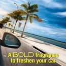 California Scents Fruity Scent Car Air Freshener 1.4 oz Solid, Pack of 12