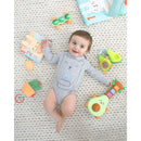 Skip Hop Cactus Jitter Hanging Toy