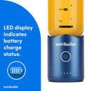 Portable Blender - Sapphire Blue