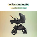 Full-Size Stroller - Blush