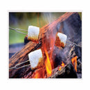 Blazing LEDz Open Flame Roasting Extendable Marshmallow Fork Plastic/Stainless Steel 3 pk, Pack of 24