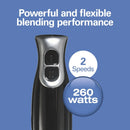 2 Speed Immersion Blender With Blending Wand And Whisk