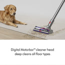 V15 Detect Total Clean Extra Cordless Vacuum - Yellow/Nickel