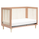 Lolly 3-in-1 Convertible Crib with Toddler Rail - Canyon/Washed Natural