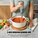 Handheld Immersion Blender with Whisk - Gray