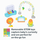 Smart Steps Bounce N' Dance 4-in-1 Activity Center Walker, Harmony Fun