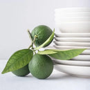 12-Piece Dinnerware Set - White