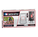 Baseball Rebounder and Pitching Target