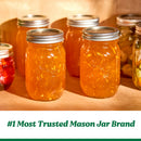 16oz 4pk Glass Regular Mouth Mason Jar with Band and Lid Sunshine