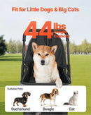 Foldable Pet Stroller - Black/Gray