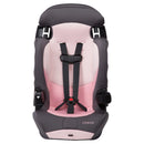 DX 2-in-1 Harness Booster Car Seat - Sweetberry