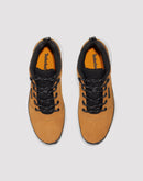 Timberland Field Trekker Low Lace Up Sneaker